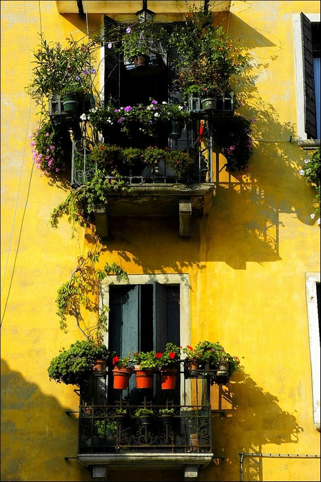 My house is not yellow, but it will feel like this!