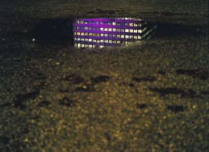 Maarten van Schaik; winner 2007